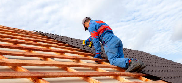 Best Roof Maintenance and Cleaning  in Saluda, SC