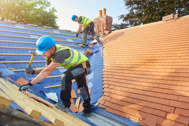 Best Roof Ventilation Installation  in Saluda, SC